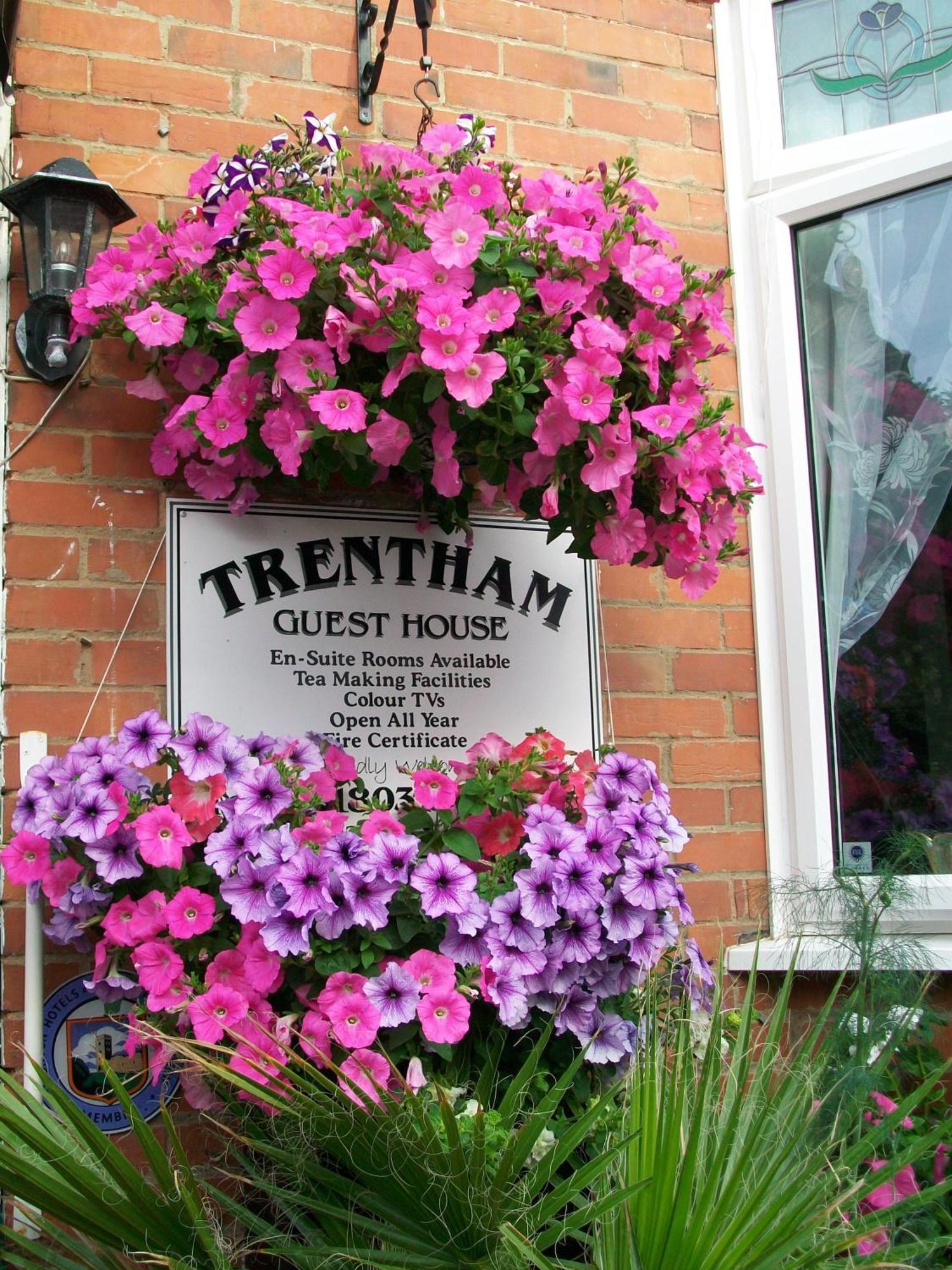 Trentham House Acomodação com café da manhã Paignton Exterior foto